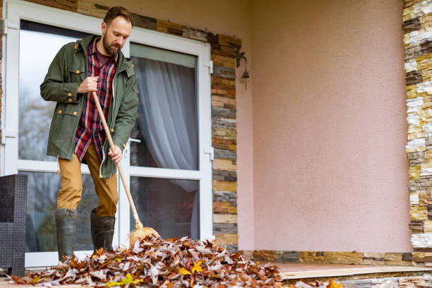 Best Full-Service Junk Removal  in Wolf Point, MT